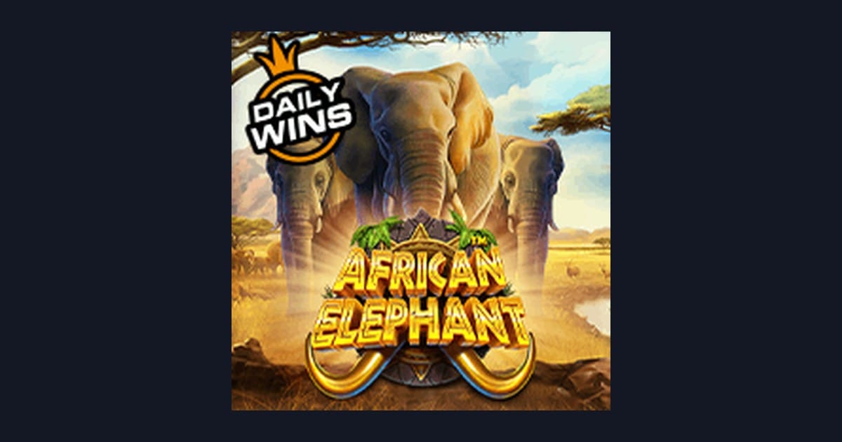 Main African Elephant dengan Modal Depo 5 Ribu, Raih Kemenangan Mudah
