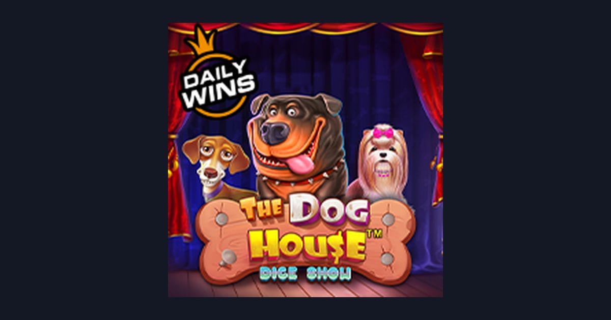 Rahasia Menang Pola Maxwin di The Dog House Dice Show