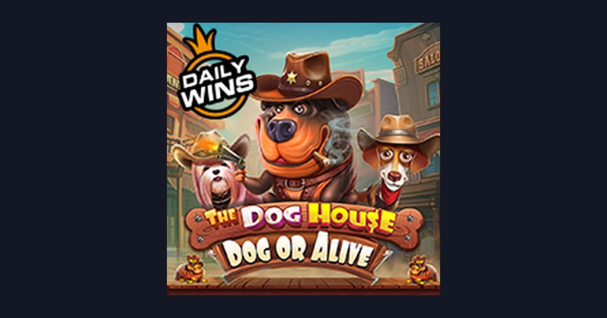 Mengenal Tips Pola Maxwin di The Dog House Dog Or Alive Slot