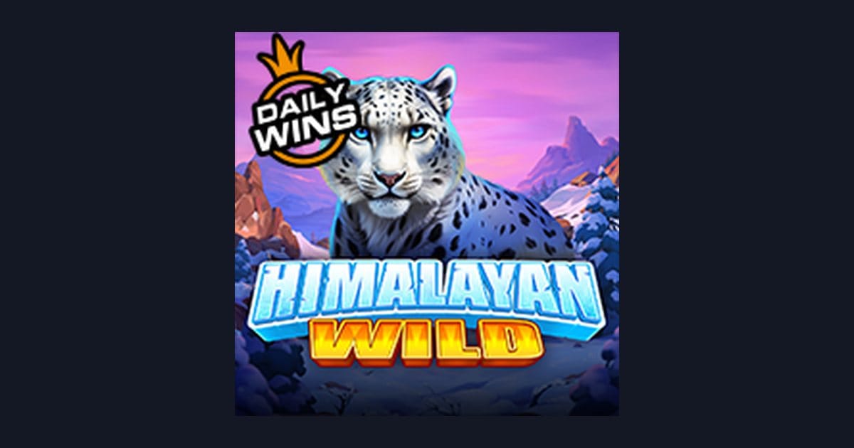 Trik Auto Maxwin Bermain Himalayan Wild untuk Pemula