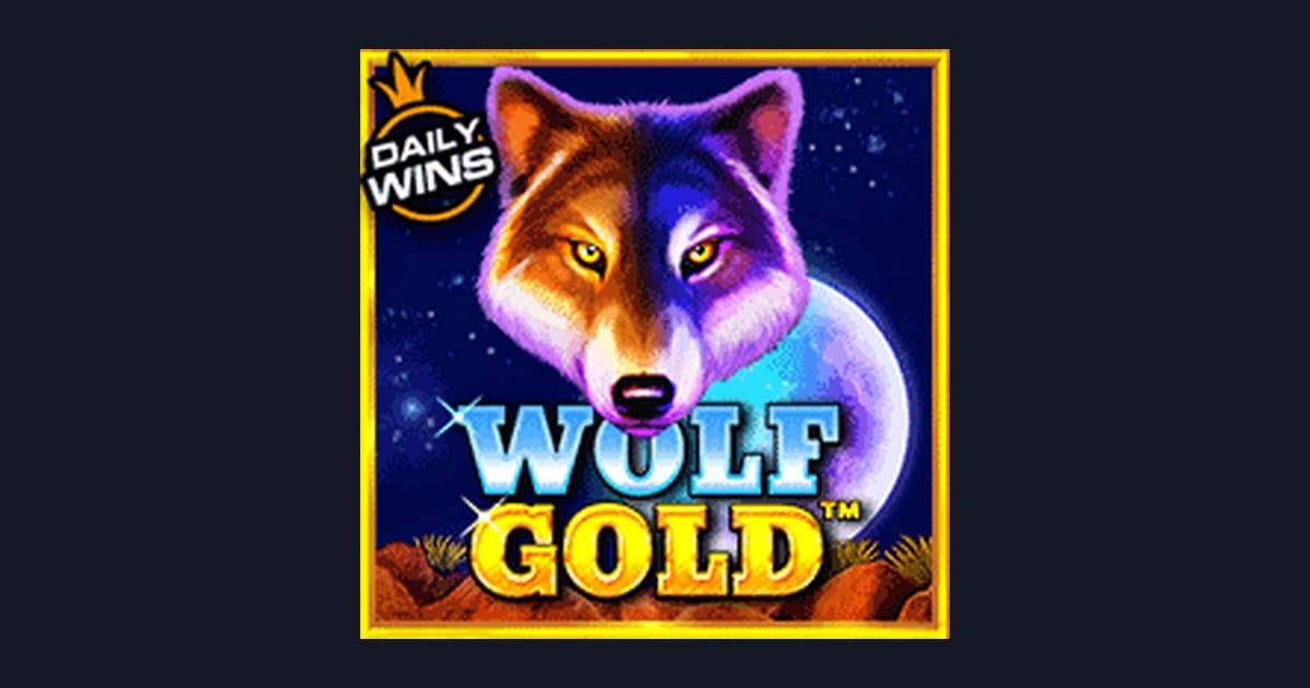 Rahasia Main Wolf Gold di Link Slot Gacor untuk Pemula